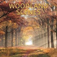 Woodland Scenes 2026 Wall Calendar