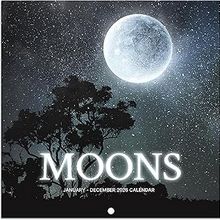 Moons 2026 Wall Calendar