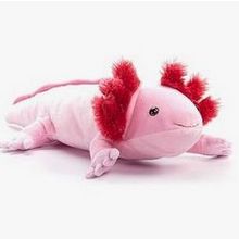 The Petting Zoo Axolotl Stuffed Animal Plushie 2026 Calendar