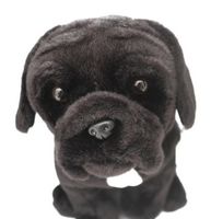 Cane Corso Plush 2026 Calendar