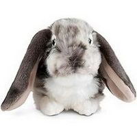 Living Nature Grey Dutch Lop Eared Rabbit Stuffed Animal