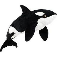 Octavius The Orca Blackfish