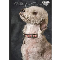 Bedlington Terrier: Journal and Notebook 2026 Calendar