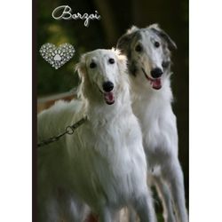 Borzoi: Journal and Notebook