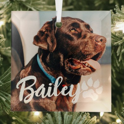 Pet's Simple Modern Cool Typography Name and Photo Glass Ornament