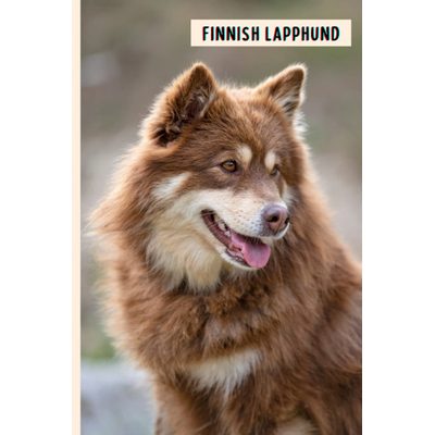 Funny Wide Ruled Notebook Gift For Finnish Lapphund Lovers