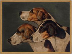 Three English Foxhounds Framed Canvas Art