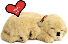 Golden Retriever, Realistic, Lifelike Stuffed Interactive Pet Toy