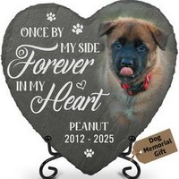 Dog Memorial Stone 2026 Calendar