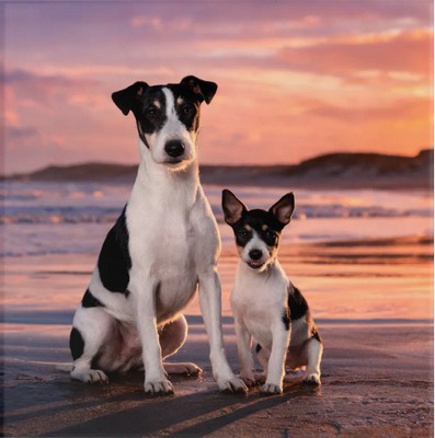 Smooth Fox Terrier & Puppy Acrylic Print