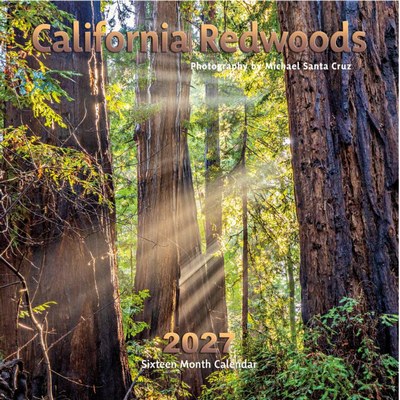 California Redwoods 2027 Wall Calendar