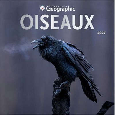 Canadian Geographic Oiseaux 2027 Wall Calendar