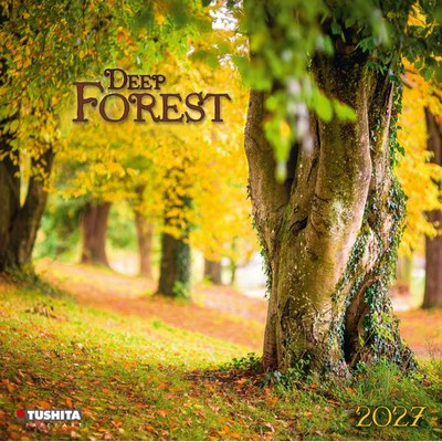 Deep Forest 2027 Wall Calendar