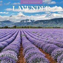 Lavender 2026 Wall Calendar