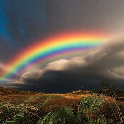Rainbows Calendars