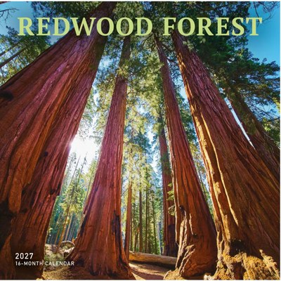Redwood Forest 2027 Wall Calendar