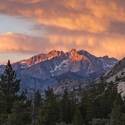 Sierra Nevada Calendars