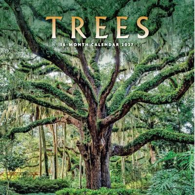 Trees 2027 Wall Calendar