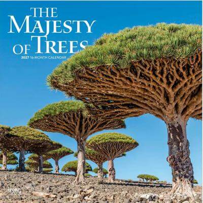 Majesty of Trees 2027 Wall Calendar