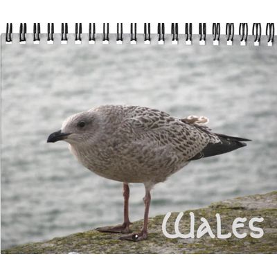 Wales Wall Calendar