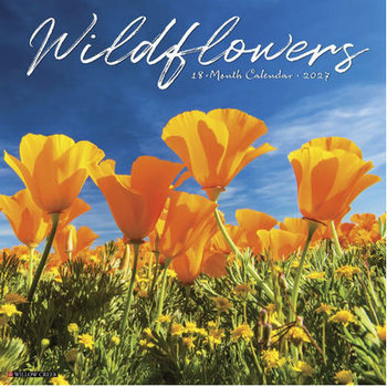 Wildflower Calendars