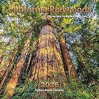 California Redwoods 2026 Wall Calendar