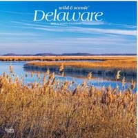 Delaware 2026 Wall Calendar