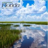 Florida 2026 Wall Calendar