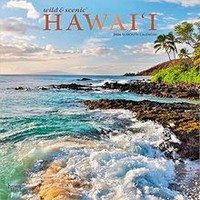 Hawaii 2026 Wall Calendar