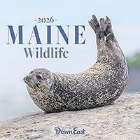 Maine Wildlife 2026 Wall Calendar
