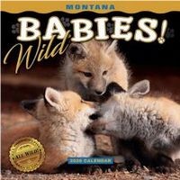 Montana Wild Babies 2026 Mini Wall Calendar
