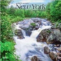 New York 2026 Wall Calendar