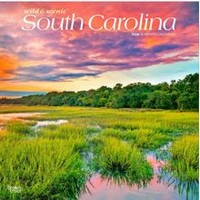 South Carolina 2026 Wall Calendar