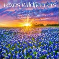 Texas Wildflowers 2026 Wall Calendar
